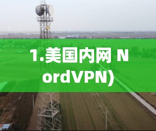 1.美国内网 NordVPN)