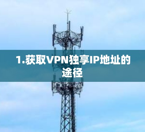 1.获取VPN独享IP地址的途径