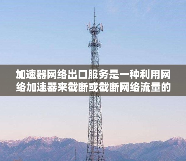 加速器网络出口服务是一种利用网络加速器来截断或截断网络流量的技术手段，主要针对来自中国的网络流量。以下是对该服务的详细分析
