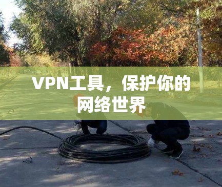 VPN工具，保护你的网络世界
