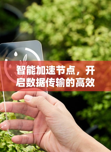 智能加速节点，开启数据传输的高效新纪元