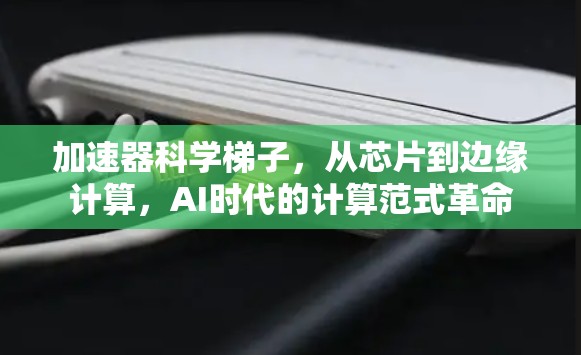 加速器科学梯子，从芯片到边缘计算，AI时代的计算范式革命