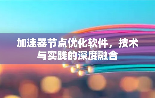 加速器节点优化软件，技术与实践的深度融合