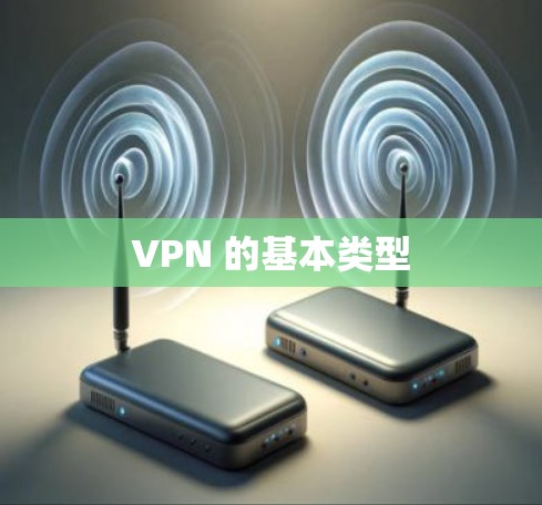 VPN 的基本类型