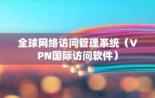 全球网络访问管理系统（VPN国际访问软件）