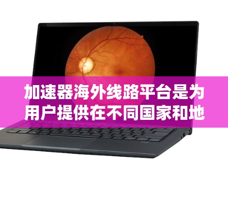 加速器海外线路平台是为用户提供在不同国家和地区网络连接加速服务的工具。以下是对这些平台的系统性整理