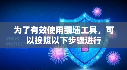 为了有效使用翻墙工具，可以按照以下步骤进行