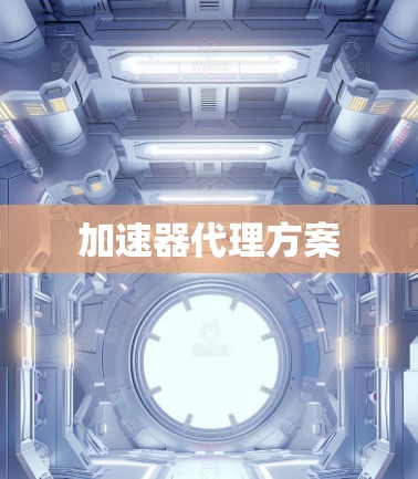 加速器代理方案