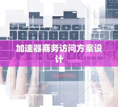 加速器商务访问方案设计