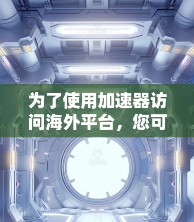 为了使用加速器访问海外平台，您可以按照以下步骤操作