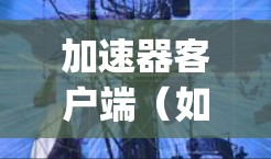 加速器客户端（如Apple QuickTime、Windows Media Player）中的参数调整是优化视频体验的重要步骤。以下是加速器客户端参数调整的详细介绍