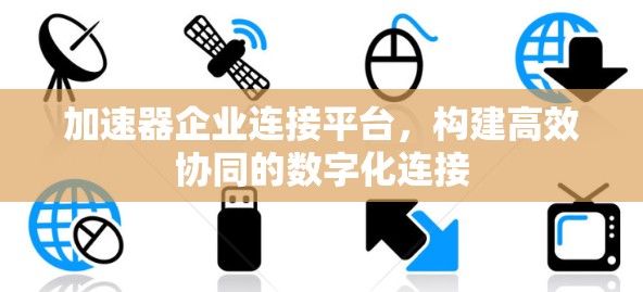 加速器企业连接平台，构建高效协同的数字化连接