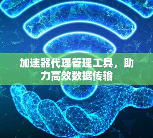 加速器代理管理工具，助力高效数据传输