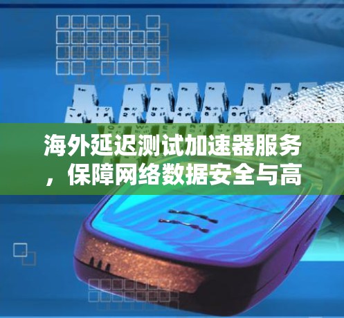 海外延迟测试加速器服务，保障网络数据安全与高效传输