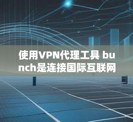 使用VPN代理工具 bunch是连接国际互联网的一种有效方法，但选择合适的工具至关重要。以下是一个系统化的指南，帮助您高效地使用这些工具
