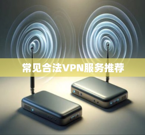 常见合法VPN服务推荐