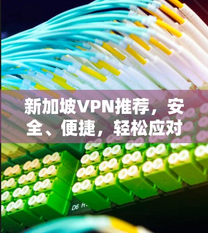 新加坡VPN推荐，安全、便捷，轻松应对网络挑战