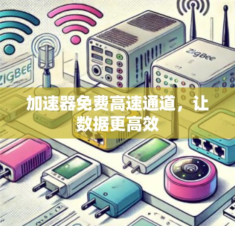 加速器免费高速通道，让数据更高效