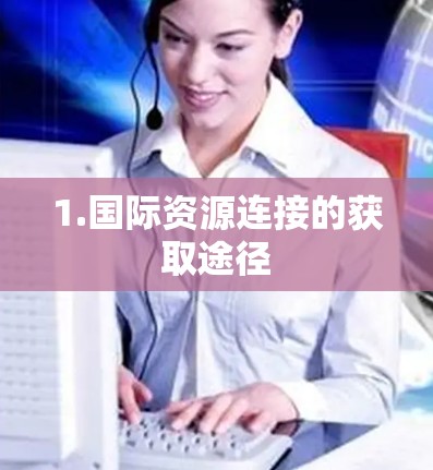 1.国际资源连接的获取途径