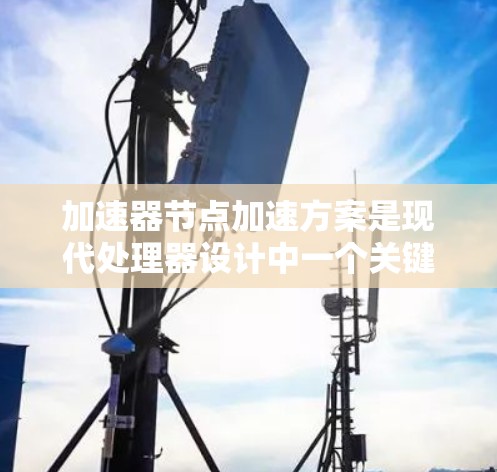 加速器节点加速方案是现代处理器设计中一个关键的优化方向，利用加速器节点提升任务执行效率。以下是对其设计和应用的详细分析