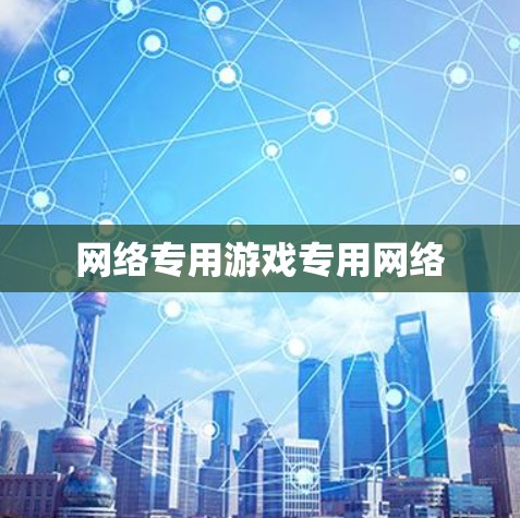 网络专用游戏专用网络