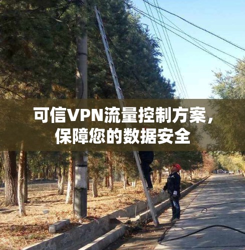 可信VPN流量控制方案，保障您的数据安全