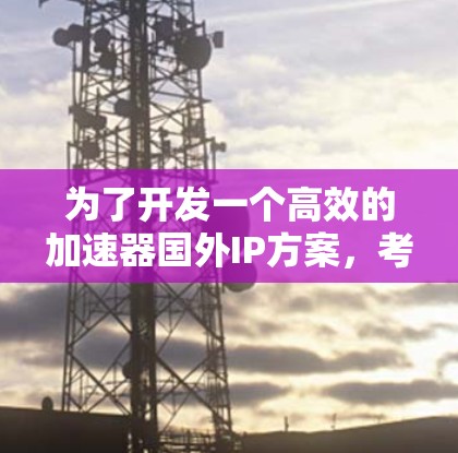 为了开发一个高效的加速器国外IP方案，考虑以下步骤