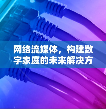 网络流媒体，构建数字家庭的未来解决方案