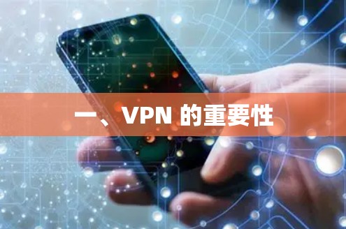一、VPN 的重要性