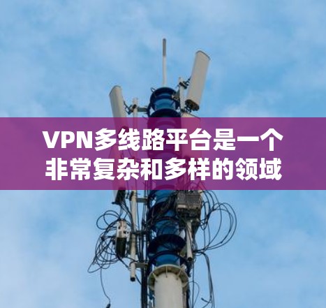 VPN多线路平台是一个非常复杂和多样的领域，涉及技术、法律和用户习惯等多个方面。以下是对多线路VPN平台的详细分析和总结
