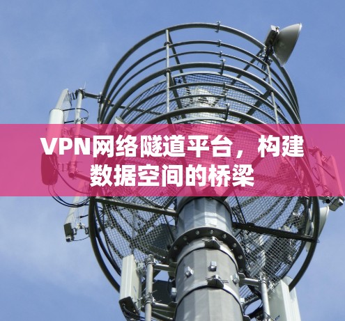 VPN网络隧道平台，构建数据空间的桥梁