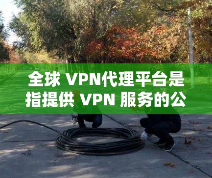 全球 VPN代理平台是指提供 VPN 服务的公司或服务提供商，这些平台通常通过多个IP地址和服务器来扩展其服务范围，覆盖全球各地。以下是几个主要的全球 VPN代理平台