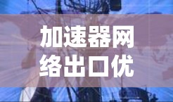 加速器网络出口优化，技术与实践的融合