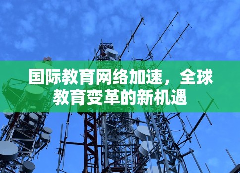 国际教育网络加速，全球教育变革的新机遇