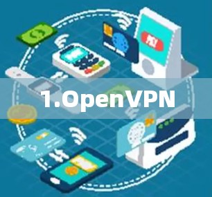 1.OpenVPN