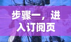 步骤一，进入订阅页面