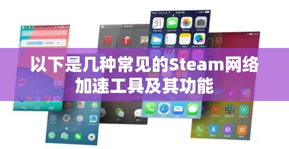 以下是几种常见的Steam网络加速工具及其功能