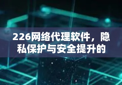 226网络代理软件，隐私保护与安全提升的解决方案