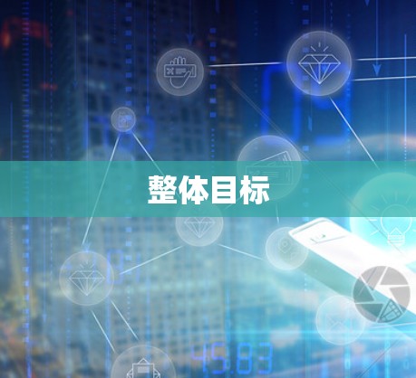 整体目标