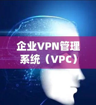 企业VPN管理系统（VPC）是一种用于企业内部网络保护和安全的工具，旨在管理企业内部网络的访问控制、数据加密以及防止网络攻击。以下是一些关键点和相关信息