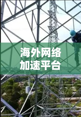 海外网络加速平台是帮助用户在海外获取更快、更稳定的网络服务的工具。这些平台通常提供高速、安全、可靠的网络连接，满足用户在旅行、商务或者其他需要网络服务的场景。以下是一些常见的海外网络加速平台及其特点