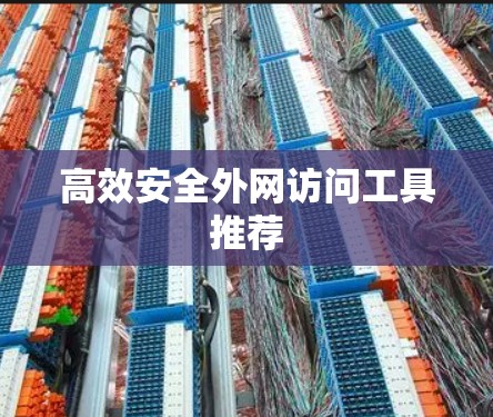 高效安全外网访问工具推荐