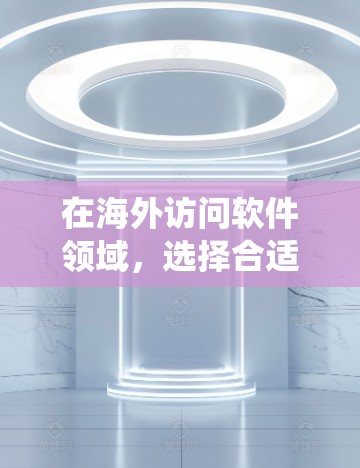 在海外访问软件领域，选择合适的工具是确保成功访问其他国家服务器或设备的关键。以下是一个系统化的介绍，涵盖了软件的类型、使用场景、优缺点以及推荐建议
