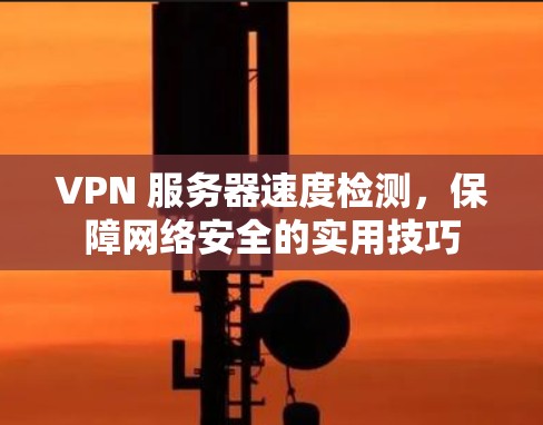 VPN 服务器速度检测，保障网络安全的实用技巧