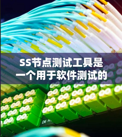 SS节点测试工具是一个用于软件测试的工具，旨在验证软件在不同测试场景下的表现。以下是对SS节点测试工具的详细分析