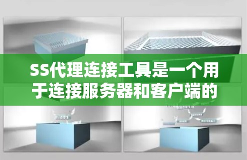 SS代理连接工具是一个用于连接服务器和客户端的中间层，特别是在需要直接连接到客户端的情况下。以下是对该工具的详细说明