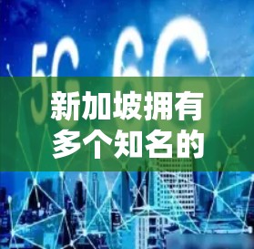新加坡拥有多个知名的VPN服务提供商，这些公司提供优质的VPN服务，满足不同用户的需求。以下是新加坡主要的VPN线路服务提供商及其特点