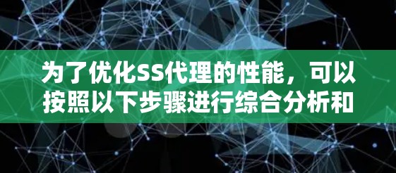 为了优化SS代理的性能，可以按照以下步骤进行综合分析和改进