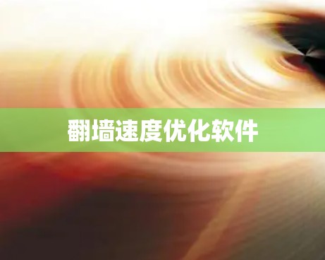 翻墙速度优化软件