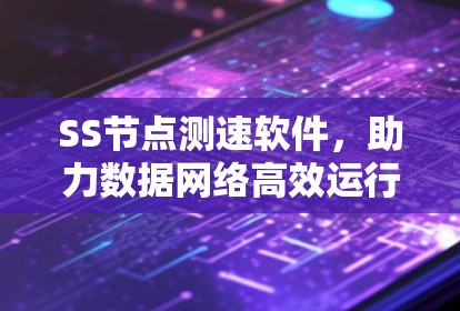 SS节点测速软件，助力数据网络高效运行